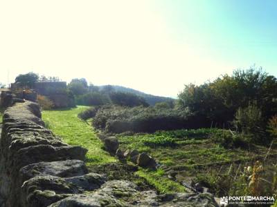 Agua, Vino y .... Vida - Tierra de Pinares; tiendas montaña madrid cañadas reales viajes a la palma 